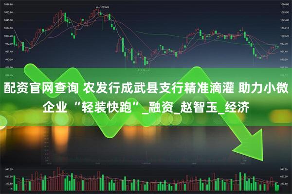 配资官网查询 农发行成武县支行精准滴灌 助力小微企业 “轻装快跑”_融资_赵智玉_经济