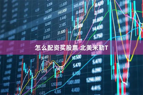 怎么配资买股票 北美米勒T